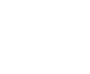 ZorroLibre.AI